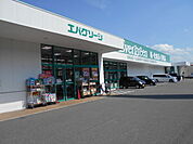 【ドラッグストア】エバーグリーン有田店様まで3100ｍ