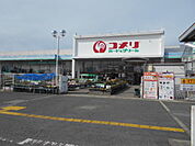 【ホームセンター】コメリハード＆グリーン御坊店様まで1100ｍ