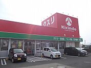 【ドラッグストア】キリン堂藍住徳命店様まで250ｍ