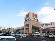 【スーパー】ハローズ津乃峰店さんまで400ｍ