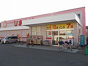 【ドラッグストア】ひまわり空港通店様まで300ｍ