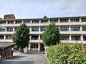 【小学校】八幡浜市立神山小学校様まで900ｍ