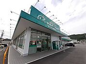 【ドラッグストア】ザグザグ金川店まで650ｍ