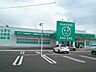 周辺：【ドラッグストア】ザグザグ児島柳田店まで800ｍ