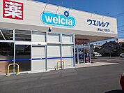 【ドラッグストア】ウエルシア　上河原店様まで2700ｍ