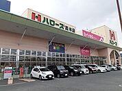 【スーパー】ハローズ高木店まで900ｍ