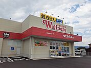 【ドラッグストア】ウェルネス叶店まで750ｍ
