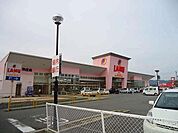 【スーパー】ラ・ムー鳥取店まで1100ｍ