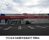 【ドラッグストア】ウエルネス出雲大社店まで700ｍ