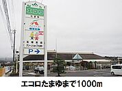 【スーパー】エコロたまゆまで1000ｍ