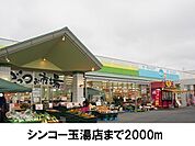 【スーパー】シンコー玉湯店まで2000ｍ