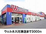 【ドラッグストア】ウェルネス川津店まで3000ｍ