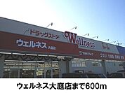 【ドラッグストア】ウェルネス大庭店まで600ｍ