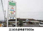 【スーパー】エコロたまゆまで900ｍ
