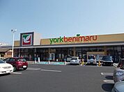 【スーパー】ヨークベニマルまで393ｍ