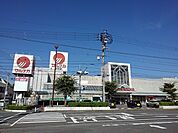【スーパー】マルナカ琴平店まで550ｍ