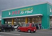 【ドラッグストア】ハシドラッグ南福島店まで600ｍ