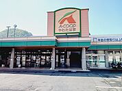 【スーパー】Ａコープやわたはま店様まで500ｍ