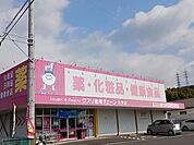 【ドラッグストア】クスリ岩崎チェーン光井店まで300ｍ
