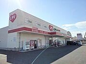 【ドラッグストア】くすりのレディ坂出南店まで850ｍ