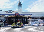【ホームセンター】ＤＣＭ伊予店様まで550ｍ