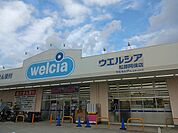 【ドラッグストア】ウェルシア松原阿保店様まで1171ｍ