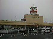 【スーパー】ヨークベニマル平野店まで250ｍ