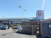 【ホームセンター】コメリさんまで600ｍ