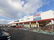 【ドラッグストア】くすりのアオキおおつ野店まで800ｍ