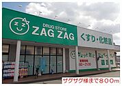【ドラッグストア】ザグザグ様まで800ｍ