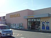 【レンタルビデオ】ＴＳＵＴＡＹＡまで1900ｍ