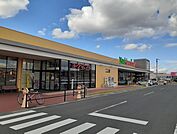 【スーパー】ヨークベニマル古川店まで400ｍ