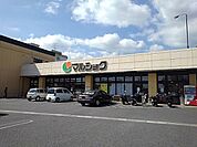 【スーパー】マルショク大学通り店まで350ｍ