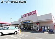 【スーパー】アオキスーパーまで250ｍ