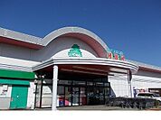 【スーパー】いちい鎌田店まで500ｍ