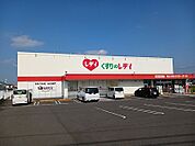 【ドラッグストア】くすりのレディ川岡店さんまで750ｍ