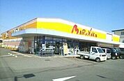 【スーパー】マルナカ滝宮店さんまで1300ｍ