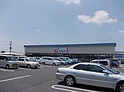 【ドラッグストア】カワチ薬品谷田部店まで3200ｍ