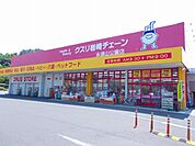 【ドラッグストア】クスリ岩崎チェーン永源山公園店まで2600ｍ
