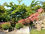 【公園】宮崎公園まで550ｍ