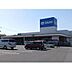 周辺：【ホームセンター】ダイキ川之江店まで800ｍ