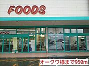 【スーパー】オークワ様まで950ｍ