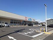 【ドラッグストア】ウエルシア東海大田町店まで700ｍ