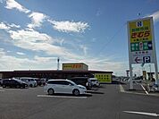 【スーパー】新鮮市場きむら丸亀三条店まで1100ｍ