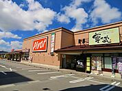 【スーパー】ピボット食品館まで650ｍ