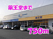 【ドラッグストア】薬王堂まで750ｍ