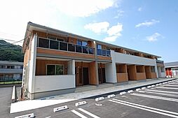 Ｐａｌ・ｃｏｌｏｒｉｅ　II 205