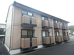 ピュール.ＳＩ. 205