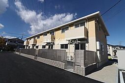 クリサンセマム 102