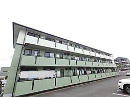 ルビナス　III 203